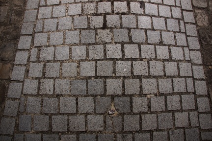 20230620131445-7b8937e9