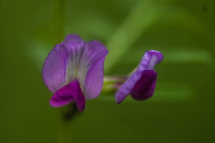 20230620152652-5a63c660